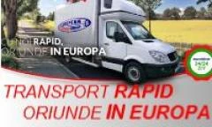 Transport marfa si mobila international